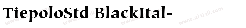 TiepoloStd BlackItal字体转换